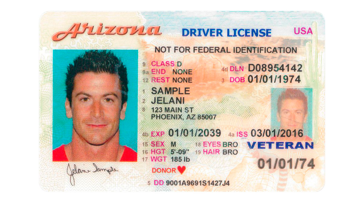 Driver License USA