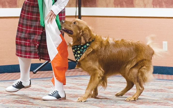 Sherlock’s grin and happily wagging tail are proof that he loves moving to an Irish tune with his partner, Christy Olthof. The bond between them is unmistakable. (Douglas Smith/Courtesy)