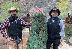 Employees at Phantom Ranch are in the holiday spirit after a Christmas tree was packed into the Grand Canyon by TJ the mule Dec. 10. The tree was delivered by Xanterra mule packers Sherwin MacArthur Jr. and Anderson “Anders” Mann. (Photo courtesy of Joni Badley)