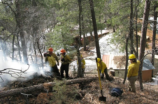 Photo Courtesy/Victoria Fox, AmeriCorps NCCC<br>
Green 4, a 12-member AmeriCorps NCCC team is stationed in Crown King until March 28. The team reduces fire fuels, above, and assists CKVFD as first responders.