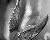 Tease photo