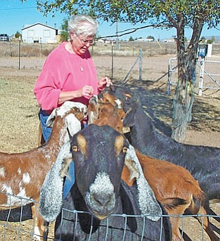Carolyn Mason shown feeds her goats one of their favorite snacks,­ peanuts, while an extra-friendly one pops its head up in front of the camera. <br /><br /><!-- 1upcrlf2 -->Review/Diane DeHamer