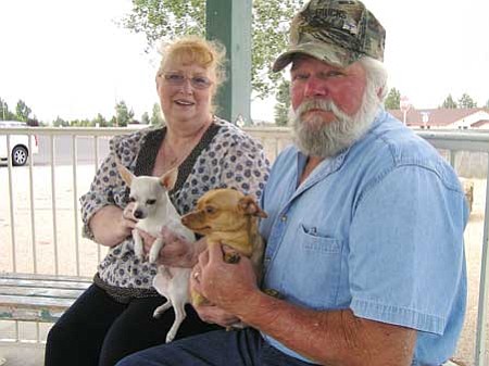 Review/Salina Sialega
Ron and Betty Benson both are cancer survivors, and recently celebrated 25 years of marriage, shown here holding their Chihuahuas, Harley (white) and Baby Girl (tan).