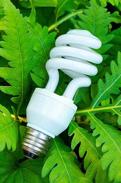 Compact fluorescent lamp bulbs replaced the traditional incandescent bulbs. Now, Light-emitting diodes bulbs are replacing them. (Metro Creative Graphics)