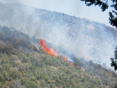 U.S. Forest Service/Courtesy photo<br>
Area officials hope that increased restrictions will reduce the chance of another wildfire like the Gladiator.

