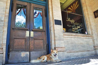 Courtesy photo<br>The Palace Restaurant and Saloon is hosting a fundraiser for United Animal Friends from 5:30 to 8:30 p.m. Thursday, Nov. 1.