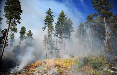 Les Stukenberg/The Daily Courier<br>
Prescott National Forest firefighter crews are treating approximately 492 acres today and Thursday.