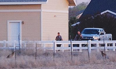 Ronda Hammack/Courtesy Photo<br>Chino Valley resident Ronda Hammack shot photos of two lions near her home Saturday, and was glad Game and Fish wildlife managers were able to let them go.