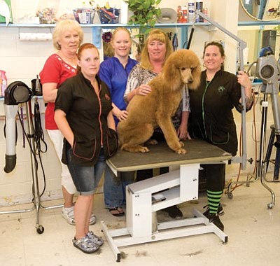 Les Stukenberg/The Daily Courier<br>
Owner Donna Albus, Marney Penner, Crystal Stout, Owner Kathy Reed, and Kristina Lowe at Donna’s Pet Salon 926 Black Drive in Prescott Friday morning.