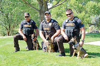 Heidi Dahms Foster/Special to the Courier<br>
Yavapai County Sheriff’s Office K9 deputies Randy Evers and Zoey, Jarrod Winfrey and Gemma, and Eric Lopez and Cyrus, pose for a photo at Fain Park recently. The officers will raise and train the three Belgian Malinois pups the sheriff’s office traded for 12 shotguns.