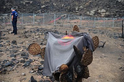 Les Stukenberg/The Daily Courier<br>
A flagpole, a temporary fence and this Granite Mountain Hotshot T-shirt mark the area where the 19 Granite Mountain Hotshots died fighting the Yarnell Hill Fire on June 30.