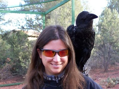 On The Wild Side: Ravens are among the world's most intelligent birds –  Beach Metro Community News