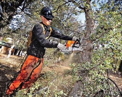 Matt Hinshaw/The Daily Courier<br>Jason McDade, a member of the Prescott Fire Department Wildland Brush Crew, cuts a limb off of a tree at the Emmanuel Pines Camp Jan. 29. Supervisor Craig Brown said a bill that would allow counties and municipalities to require people to remove wildfire hazards such as dense brush could be “over-regulation” that might lead to liability issues were the ordinance not enforced.