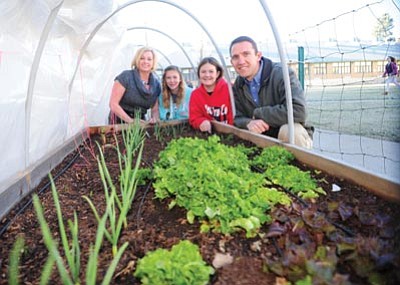 Les Stukenberg/The Daily Courier<br>
Prescott Unified School District Director of Food Services Shari Wilson, seventh-grade students Kori Berra and Emma Burns, and seventh-grade social studies teacher Andy Binder pose beside a garden bed at Prescott Mile High Middle School Monday.
