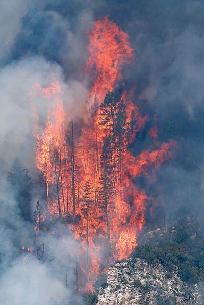 Ross D. Franklin/The Associated Press<br>
Flames shoot up over 125 feet as the Slide Fire burns in Oak Creek Canyon near Flagstaff Friday.