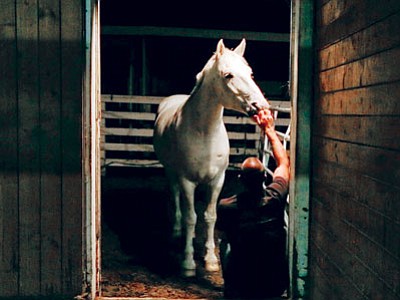 “Riding My Way Back” screens at 7:30 p.m. Thursday at Yavapai College, 1100 E. Sheldon St., Building 4, room 102. Donations for Horses with Heart appreciated. (Courtesy photo)