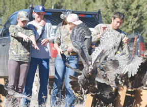 Courtesy Zen Mocarski/AG&FD<br>Local high school students help release wild turkeys Saturday near Prescott.
