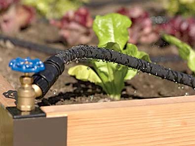 Courtesy photo<br>
Drip irrigation systems apply the water directly to the soil, reducing water lost to overspray, evaporation and runoff.