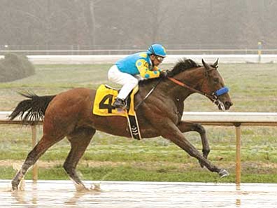 David Quinn, file/The AP<br>
American Pharoah, with jockey Victor Espinoza up, runs down the stretch to win the $750,000 Rebel Stakes horse race at Oaklawn Park in Hot Springs, Arkansas.