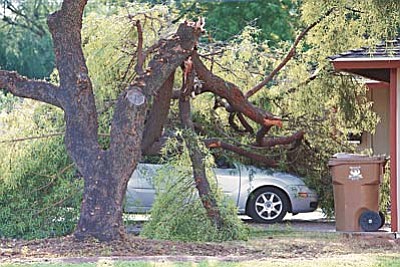 A vehicle on Clarendon and 44th Street is damaged from fallen tree limbs, Tuesday, Sept. 1, 2015, in Phoenix. Monsoon storms hit the Phoenix area Monday night and knocked out power to thousands, delayed air travel, and stranded motorists in flash floods and knocking down trees. (John Samora/The Arizona Republic via AP)