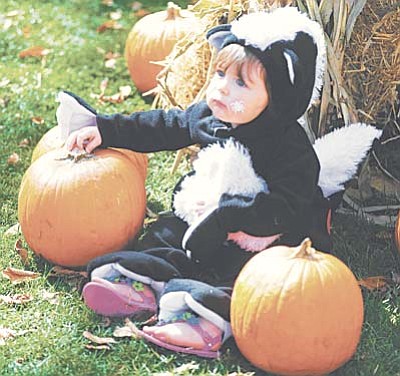 Les Stukenberg/The Daily Courier<br>Mckenna Hill isn’t quite sure of the pumpkins during the 2014 Great Prescott Pumpkin Patch in downtown Prescott.