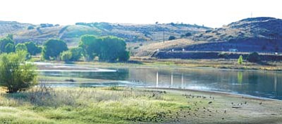 Ducks and geese feed on the plant life that has grown in Watson Lake as the lake level drops near the Peavine Trail earlier this month. (Les Stukenberg/The Daily Courier, file)