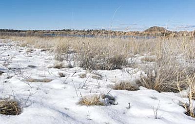 Matt Hinshaw/The Daily Courier<br>Snow melts on the ground around Willow Lake Tuesday afternoon in Prescott. Many parts of northern Arizona are above normal for their water year, which started Oct. 1, 2015, according to the latest report issued by the National Drought Mitigation Center in Lincoln, Nebraska.