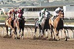 Courier/Nathaniel Kastelic
Komax, with jockey Wilson Dieguez up, closes strong to win the Gerry Howard Inaugural Handicap on opening day at the Downs Saturday. Komax finished one second off the track¹s 6 furlong record.
