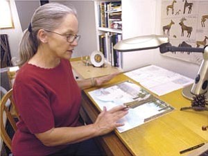 Local author/illustrator Diane Iverson describes how she researches and draws the illustrations she provides for the children¹s nature/educational books that contract her services.

Courier/Les Stukenberg