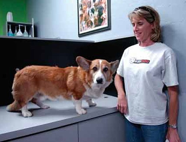Kimberlee Sheridan poses by a dry area with Siren Tuesday at Pet Headquarters in Prescott Valley. The new store offers do it yourself Pet grooming and washing.
