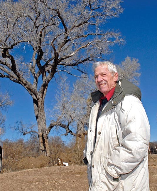 The Daily Courier/Jo.L.Keener<br>
 Dave Jenner pauses Friday near one of the many cottonwood trees on his W Diamond Ranch in Skull Valley that now contains a conservation easement.
