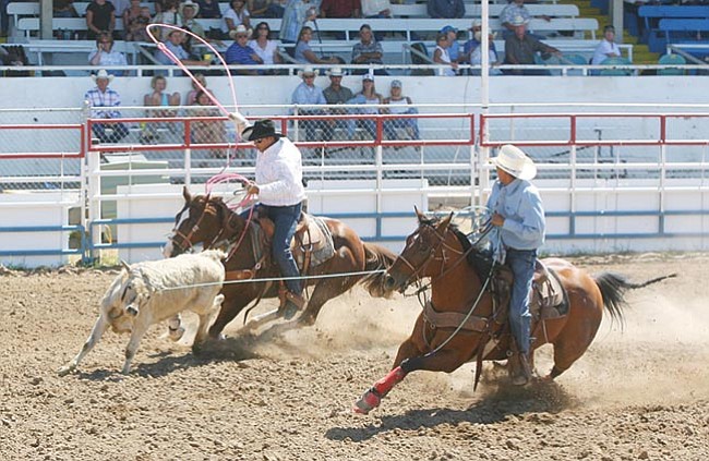 Courtesy/Rodeofotos.com<br>
Derrick Begay and Victor Aros won the second annual Chuck Sheppard Memorial Rodeo team roping competition at the Prescott Rodeo Grounds on Saturday. The duo roped four steers in 31.2 seconds to beat the second place team by just over 2 seconds.