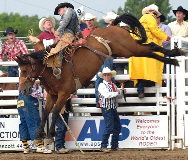 The Daily Courier/file<p>
Rod Hay rides a saddle bronc during a past World’s Oldest Rodeo.