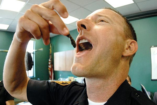 Jo. L. Keener/The Daily Courier<p>
Prescott Police Lt. Rich Gill gets ready to swallow a tomato sauce-covered caterpillar Saturday morning at the Prescott Library. The bug-eating was to encourage children to read over the summer.

