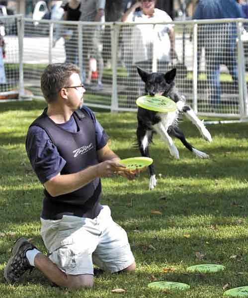 Jo. L. Keener/The Daily Courier<Br>
Brian Heuett demonstrates Frisbee work with his dog Hope Sunday at the annual Dogtoberfest on the Courthouse Plaza.