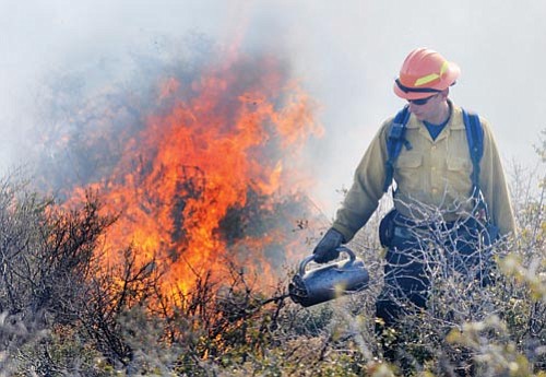 Les Stukenberg/The Daily Courier<br>
A firefighter uses a drip torch to light some of the 12 acres in a controlled burn at the 2009 Arizona Wildfire Academy’s live burn on the Embry Riddle Aeronautical University Campus.