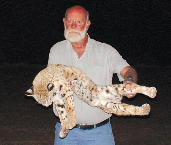 Courtesy photo<br>James Gruver holds the rabid bobcat he strangled to death when it attacked him at his remote home north of Castle Hot Springs Dec. 14.