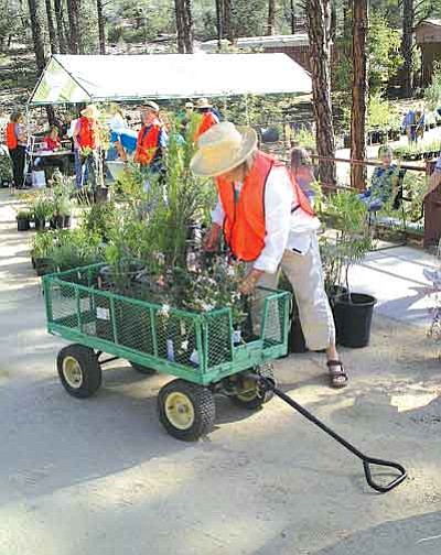 A volunteer puts plants into a wagon for transport to a buyer’s vehicle during a previous Highlands Center for Natural History native plant sale.