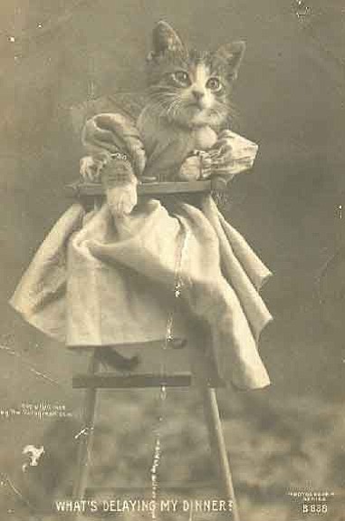 An example of a LOLcat that predates the Internet by many many years. Photo: Public Domain.
