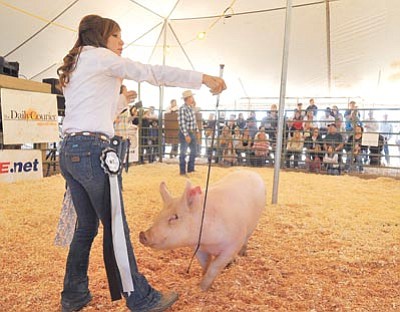 Matt Hinshaw/The Daily Courier<br>
Ariana Scott, 14, guides her grand champion swine around the auction area for bidders to glance at April 24, 2010, during the 4H/FFA Expo and Auction at the Prescott Rodeo Grounds.