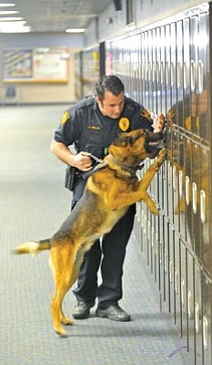 Matt Hinshaw/The Daily Courier<br>
Prescott Police Officer Jared Willis and his dog Deuce search lockers at Prescott High School Thursday morning.  

