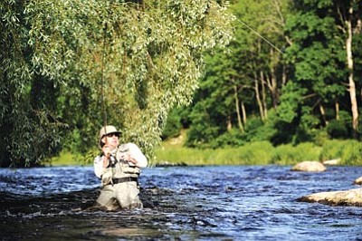 Photos.com/Courtesy<br>The Veterans Action Leadership Project is organizing a rainbow trout fishing trip to Silver Creek near Show Low from Friday, Sept. 30, through Sunday, Oct. 2.