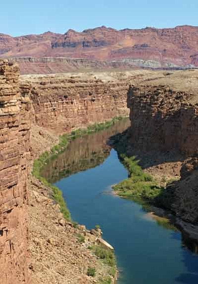 View north from Navajo Bridge of the Colorado River, looking in the direction of Lees Ferry, four miles upriver. Mike Quinn/NPS