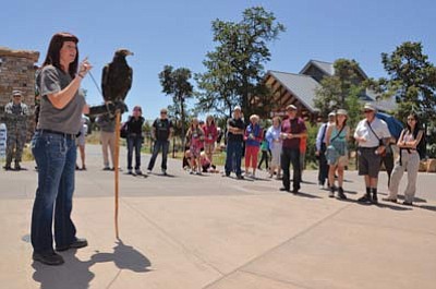 An animal demonstration at last year’s event. Photo/NPS