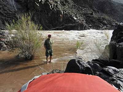 The author enjoys a brief stroll into the muddy Colorado River at Serpentine Rapids.  The river was running high because of flow releases at Glen Canyon Dam. Photo/Dennis Foster<br /><br /><!-- 1upcrlf2 -->