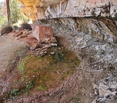 North Rim Cliff Springs. One of the sites under concern by National Park Service. Photo/NPS