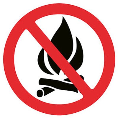 Under the restrictions, fires, campfires, charcoal, coal and wood stoves are allowed in developed campgrounds only.