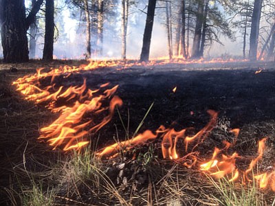 The McRae fire. Photo/USFS