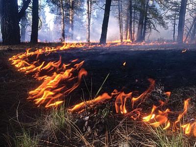 The McRae Fire. Photo/U.S.F.S.