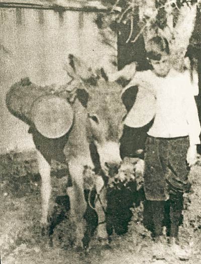 Brighty carrying water kegs with Bob Mckee in 1918. Photo/NPS